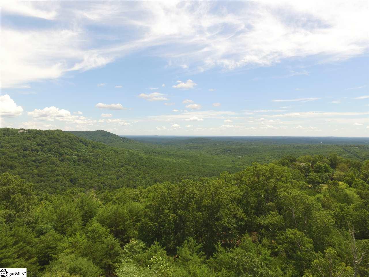 7 Aurora Trail Landrum, SC 29356 - Photo 7 of 10