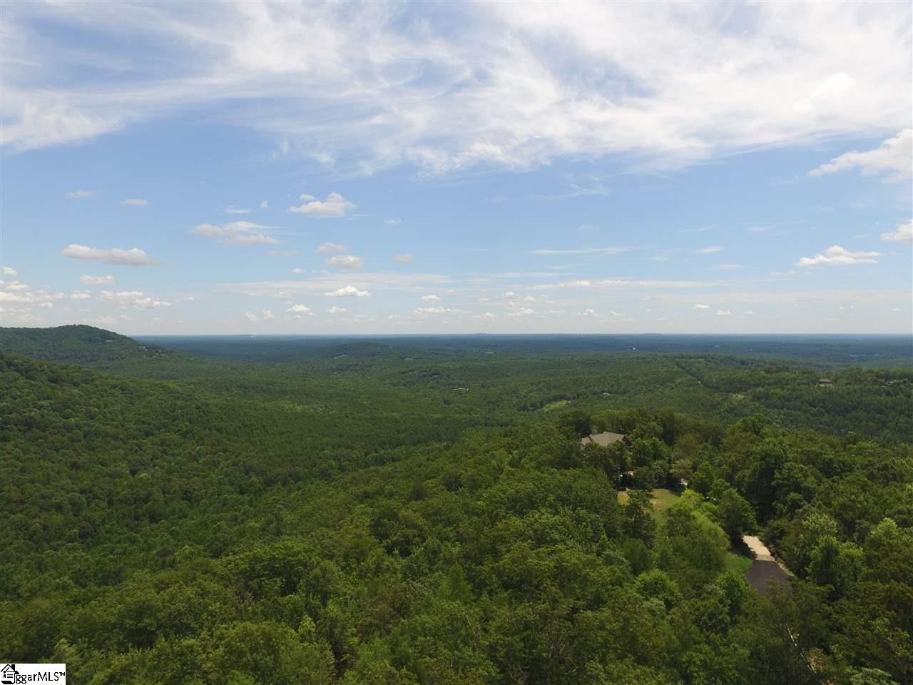 7 Aurora Trail Landrum, SC 29356 - Photo 9 of 10