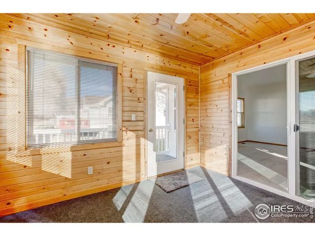 a black and white photo of a tree