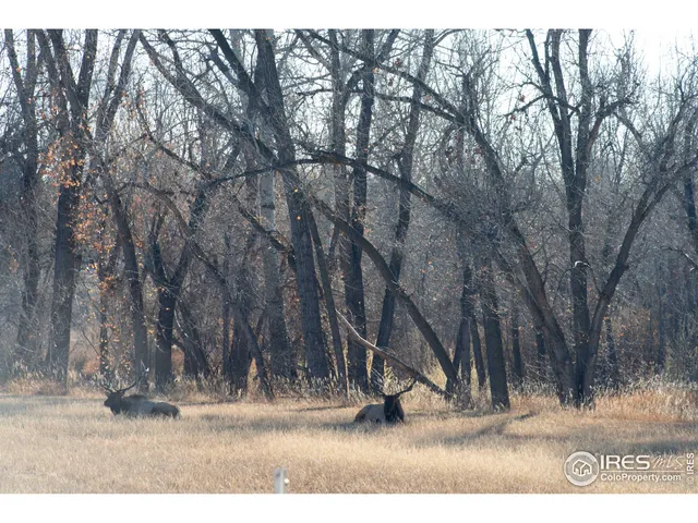 a view of a backyard with garden