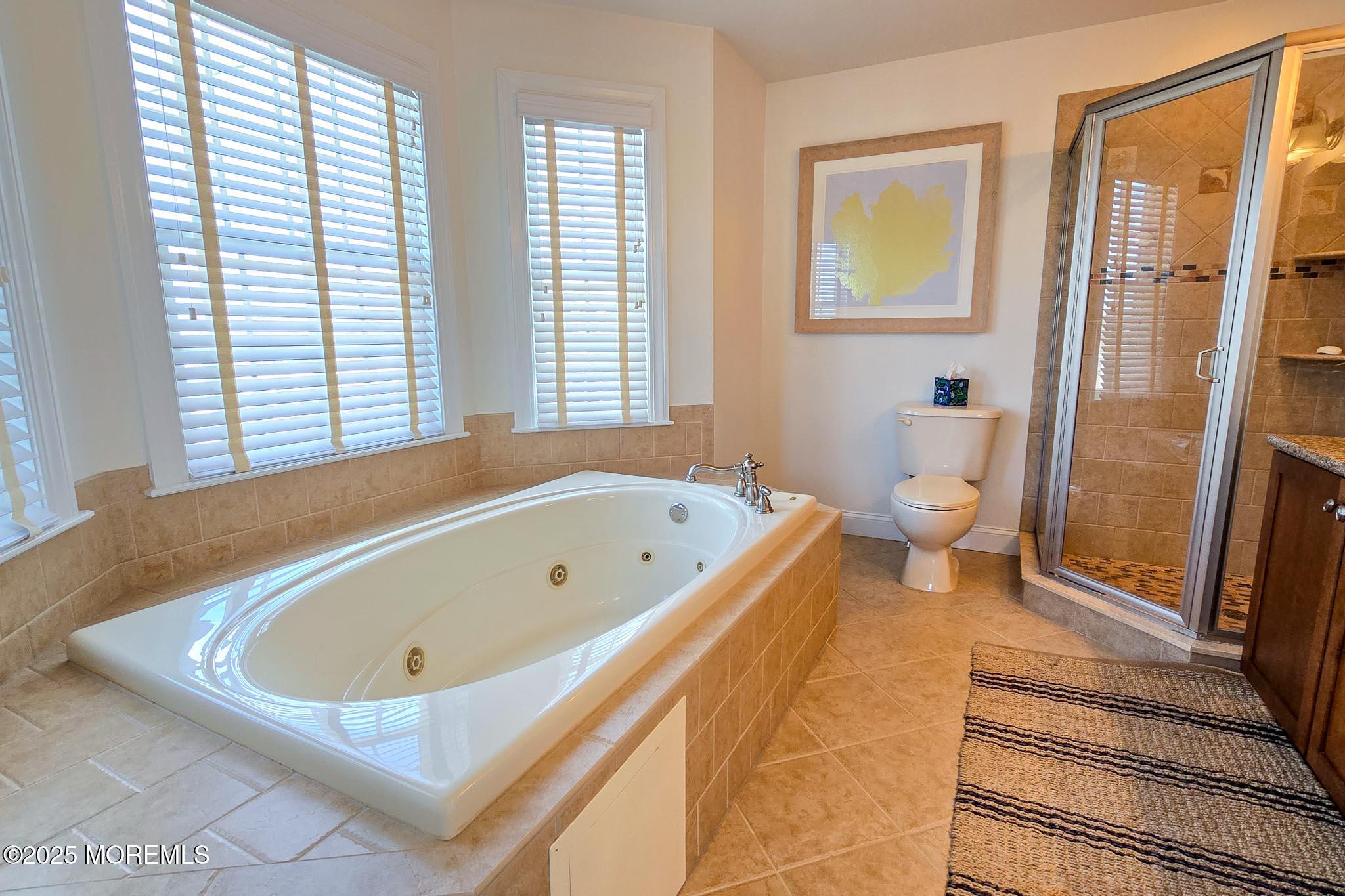 1604 Baltimore Avenue Lavallette, NJ 08735 - Photo 50 of 76 a bathroom with a tub and toilet