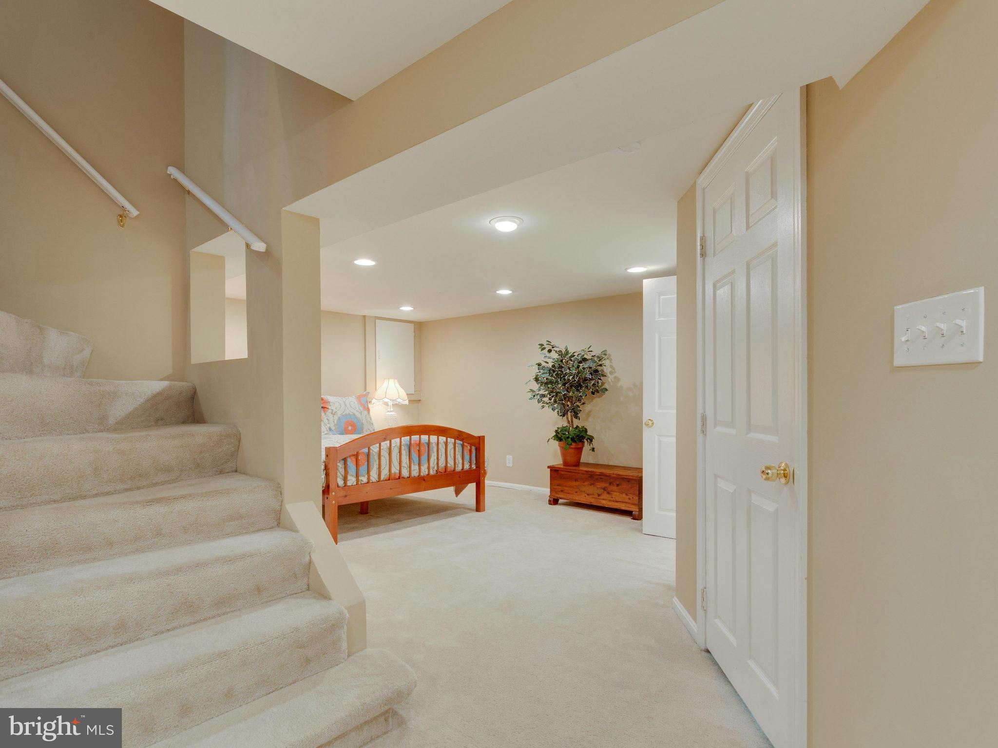 4010 Ronson Drive Alexandria, VA 22310 - Photo 22 of 30 Basement