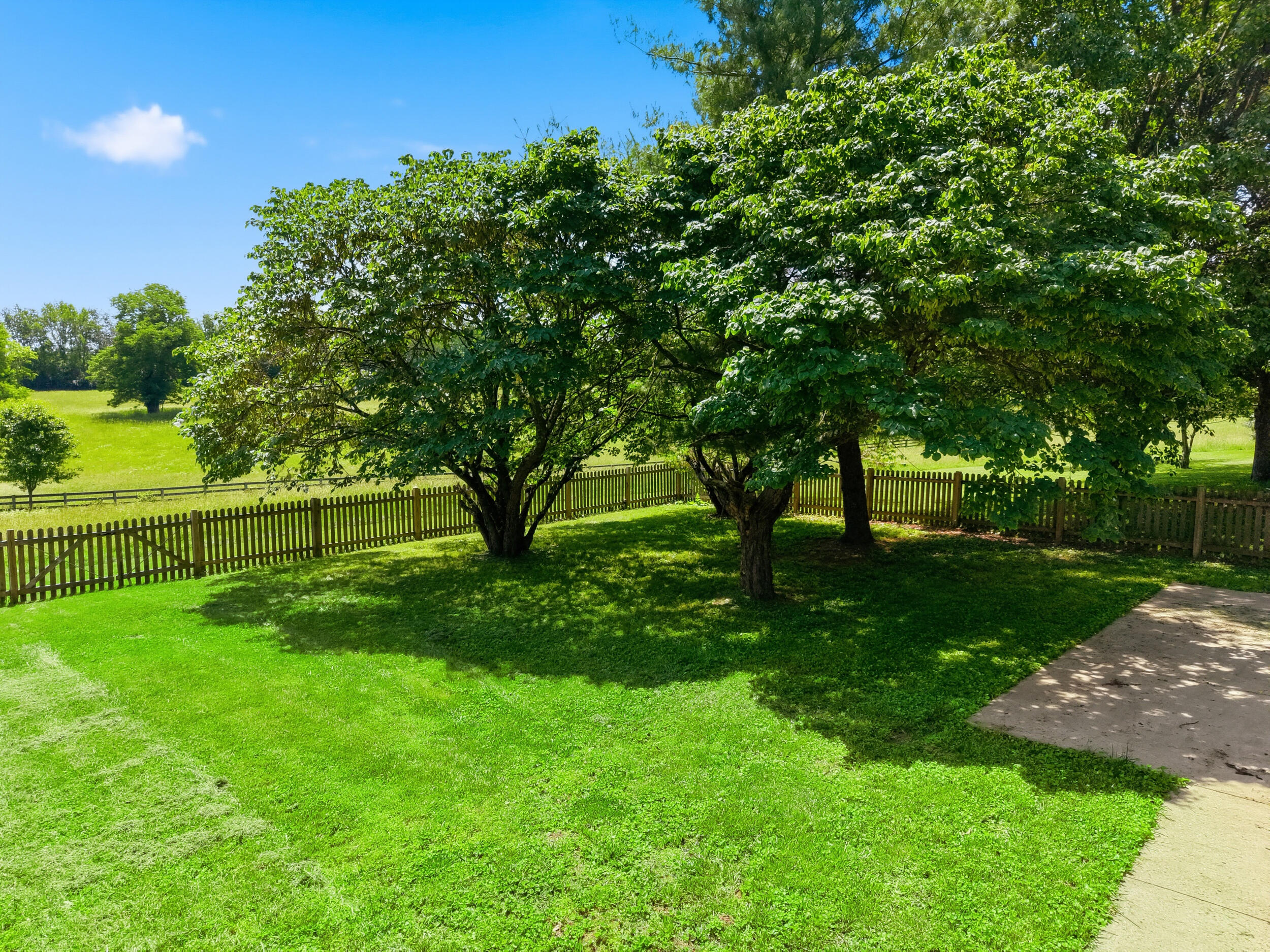 5650 Russell Cave Road Lexington, KY 40511 - Photo 46 of 58 45_dji_fly_20260528_154014_0324_17800725