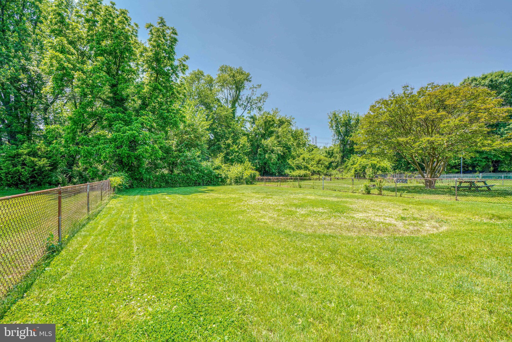 1303 Willow Road Dundalk, MD 21222 - Photo 64 of 68 Large Yard that backs to Bread and Cheese Creek
