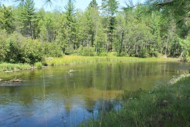 1230 South McMasters Bridge Road Grayling, MI 49738 - Photo 4 of 29 Gallery Image 4