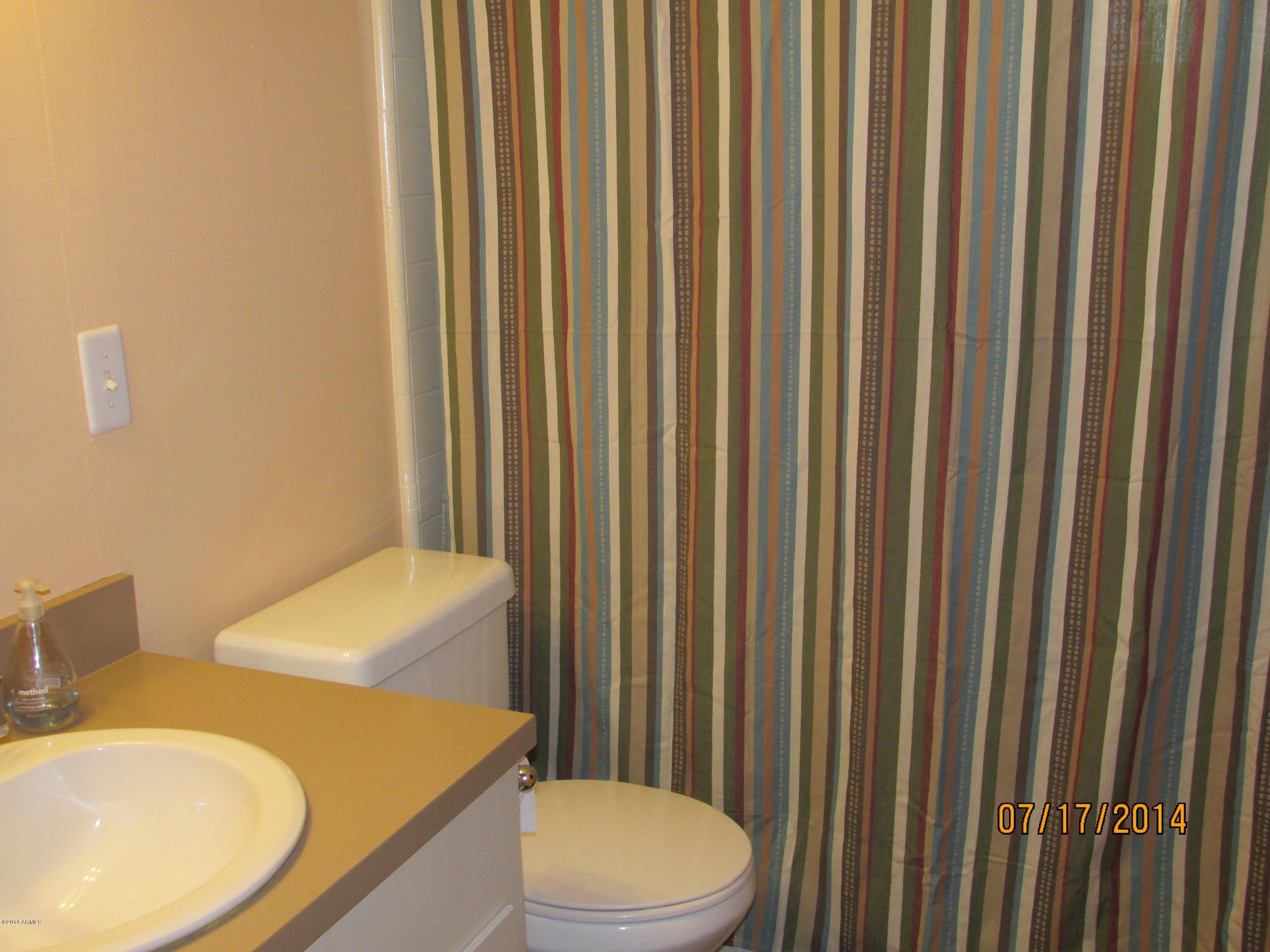 725 South Power Road, Unit 218 Mesa, AZ 85206 - Photo 11 of 14 Guest_Bath