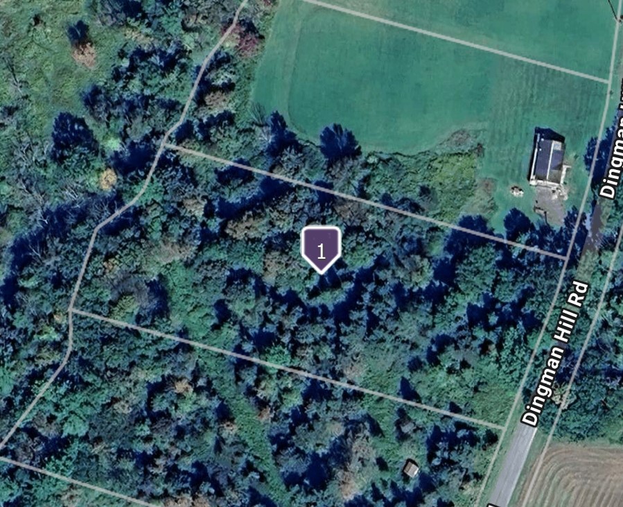 Dingman Hill Road Bainbridge, NY 13733 - Photo 21 of 21