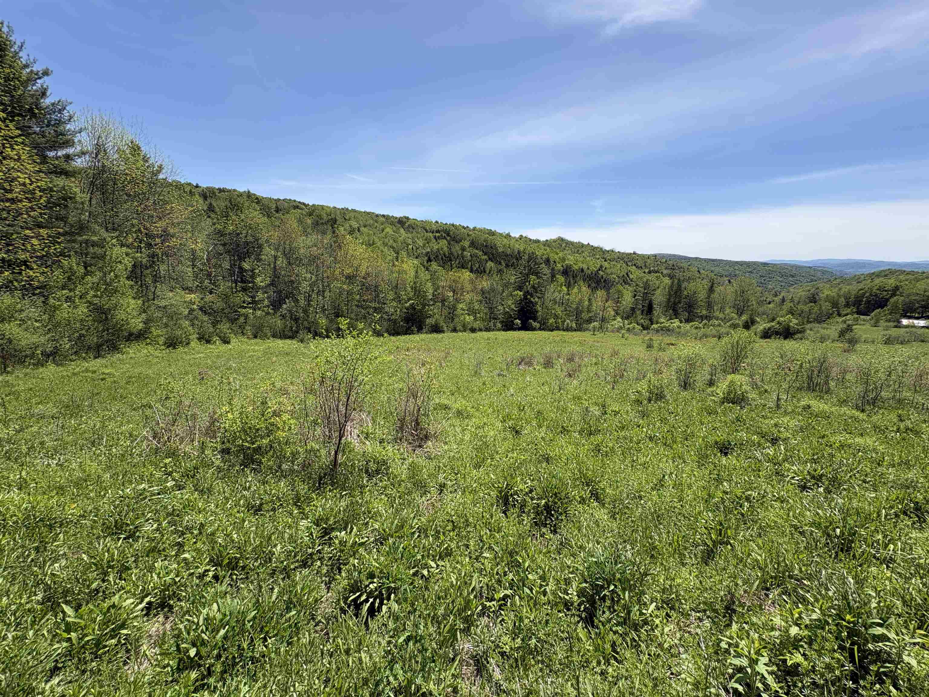 0 Bear Hill Road Randolph, VT 05060 - Photo 3 of 15