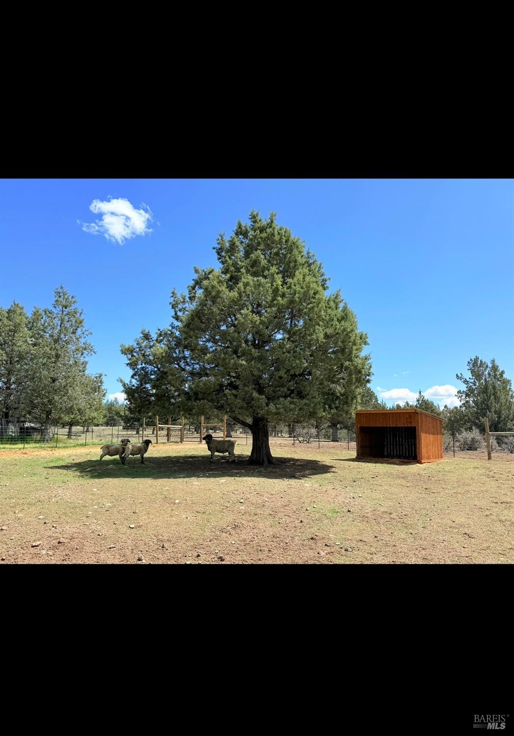 3004 Pencil Road Alturas, CA 96101 - Photo 24 of 40 a view of a lake from a yard