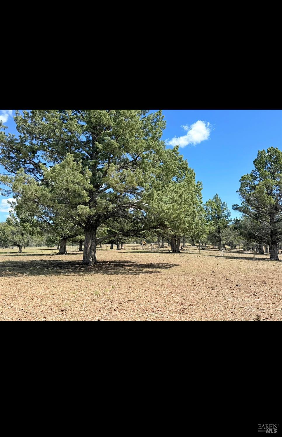 3004 Pencil Road Alturas, CA 96101 - Photo 26 of 40 a view of a city