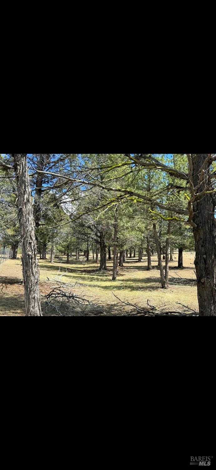 3004 Pencil Road Alturas, CA 96101 - Photo 28 of 40 a view of an ocean view