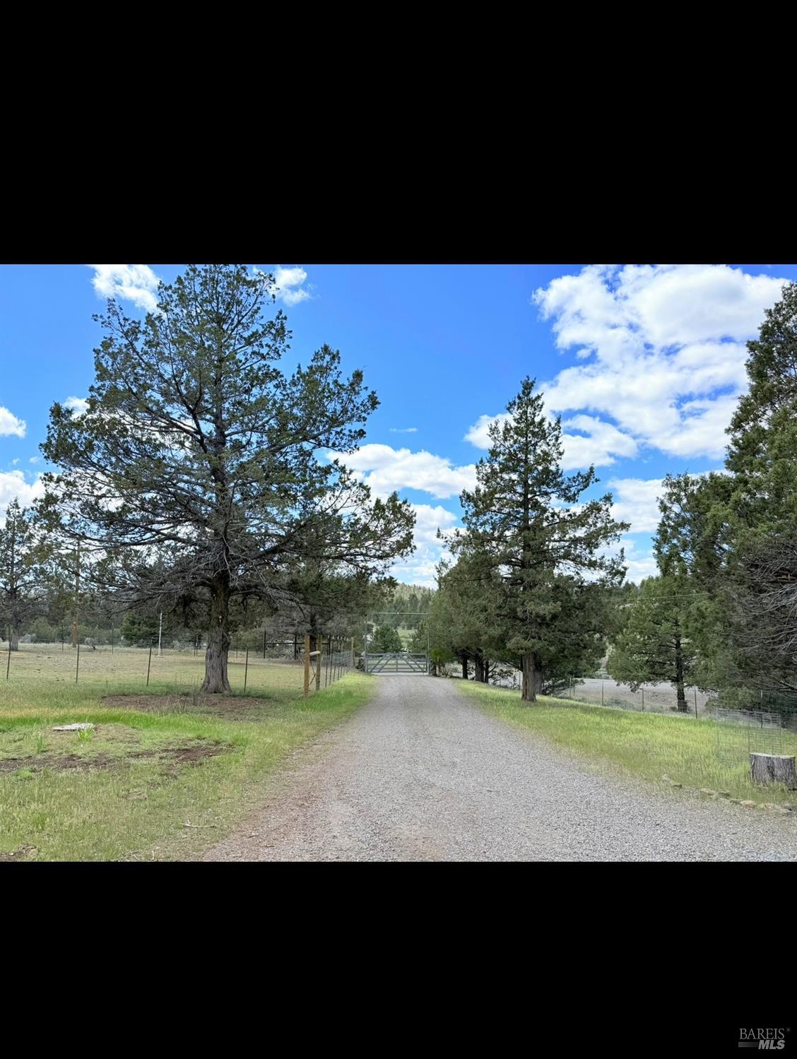 3004 Pencil Road Alturas, CA 96101 - Photo 33 of 40 a view of a park