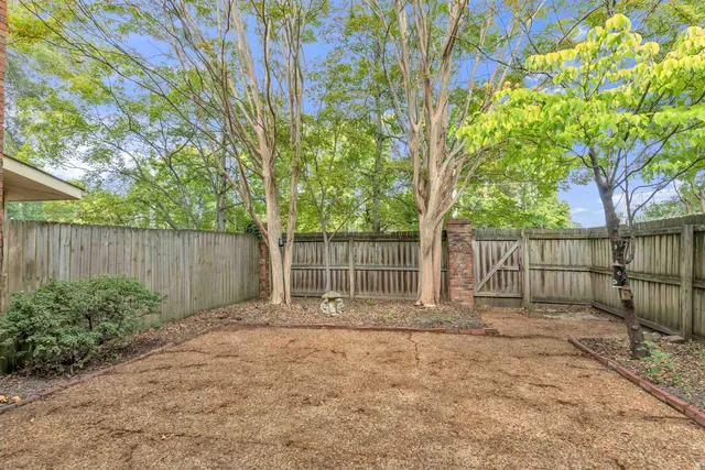 a backyard of a house with plants and tree