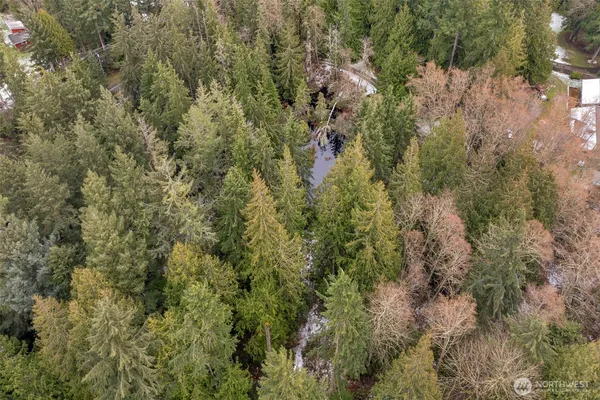 a view of a covered with trees