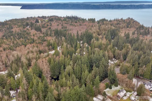 a view of a city and mountains in the background