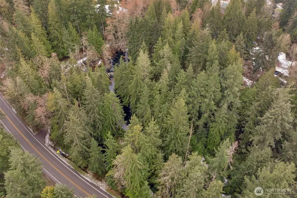 a view of a forest from a window