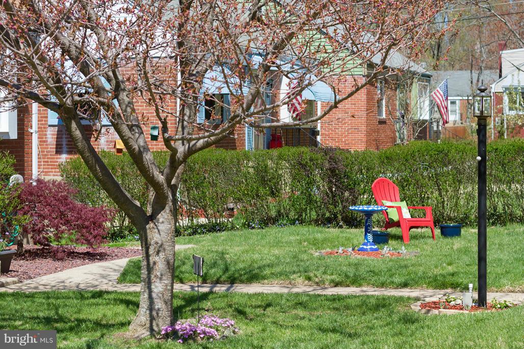940 Olmstead Road Baltimore, MD 21208 - Photo 25 of 30 Mature trees & walking distance to the park
