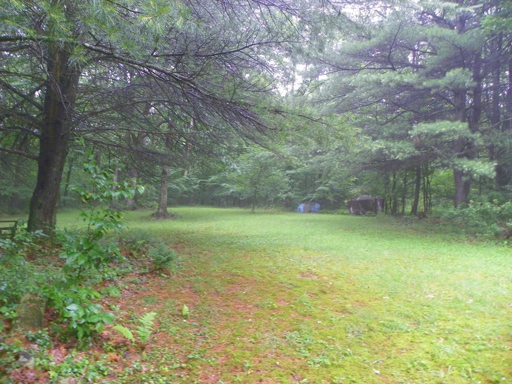 764 Guitonville Road Tionesta, PA 16353 - Photo 11 of 12