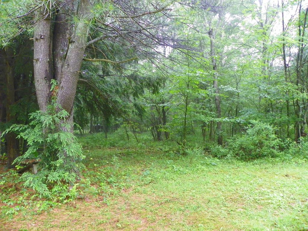 764 Guitonville Road Tionesta, PA 16353 - Photo 10 of 12