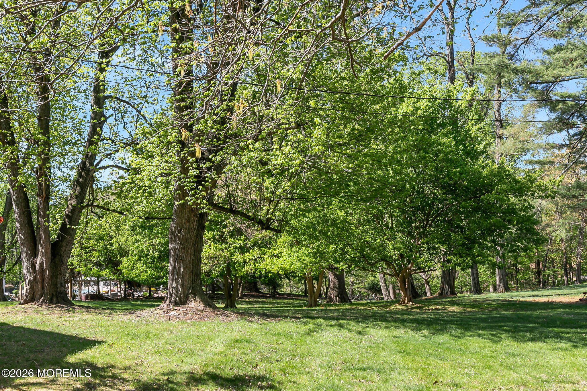 12 Maple Drive Colts Neck, NJ 07722 - Photo 51 of 51 55-web-or-mls-4M3A6049