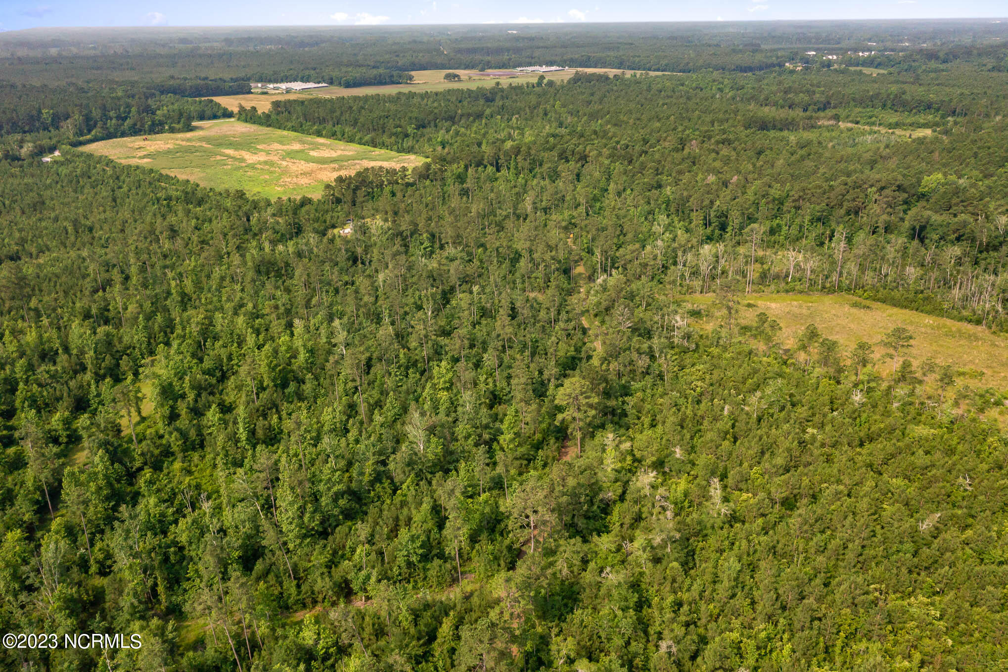 0 Dothan Road Tabor City, NC 28463 - Photo 8 of 32 DJI_0191-Edit