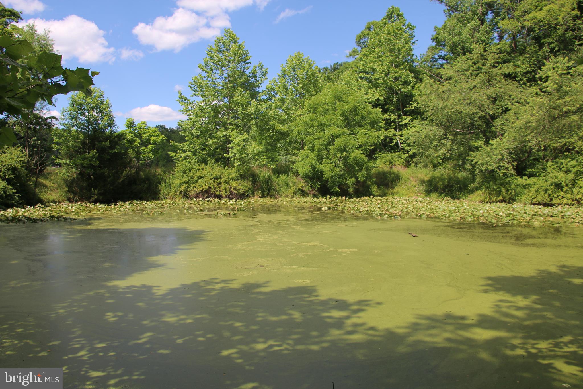 2332 Alum Springs Road Basye, VA 22810 - Photo 42 of 93 Gallery Image 42