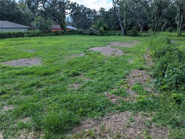 $20,000 | 0 Kirkland Park Street, Mulberry, FL 33860