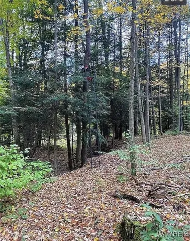 $100,000 | 0 East Holland Road, Holland, NY 14080