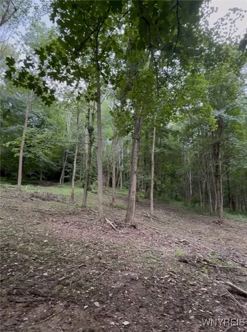 $100,000 | 0 East Holland Road, Holland, NY 14080