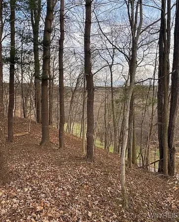 $95,000 | 0 East Holland Road, Holland, NY 14080