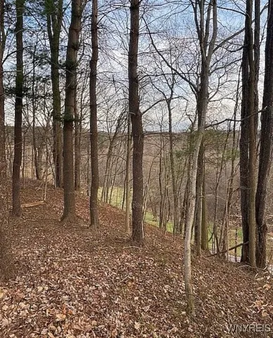 $100,000 | 0 East Holland Road, Holland, NY 14080