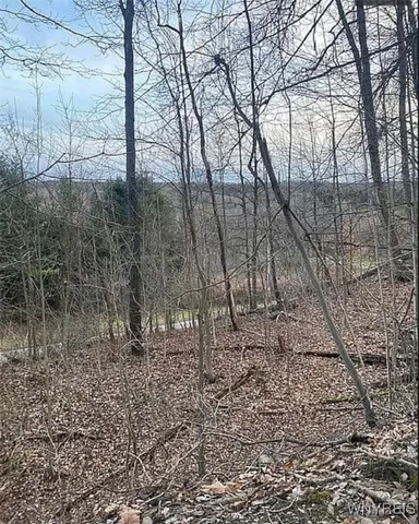 $100,000 | 0 East Holland Road, Holland, NY 14080