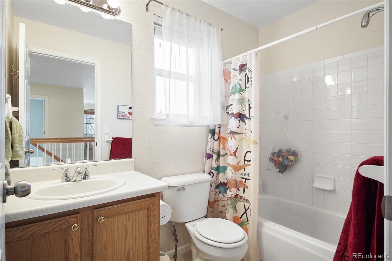10355 Spring Water Peak Highlands Ranch, CO 80129 - Photo 18 of 30 Gallery Image 18