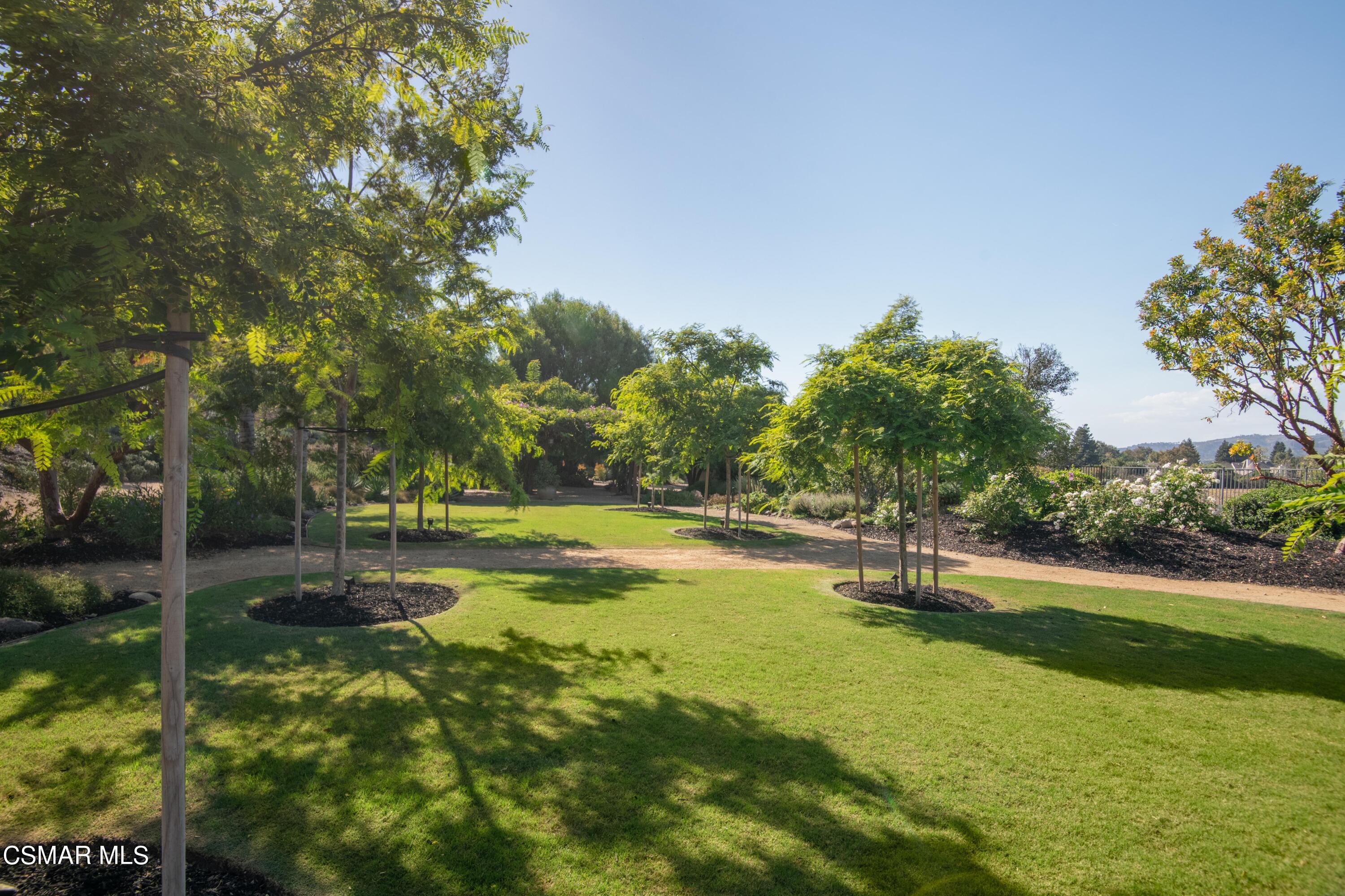 11226 Santa Rosa Road Camarillo, CA 93012 - Photo 48 of 54 lawn 2