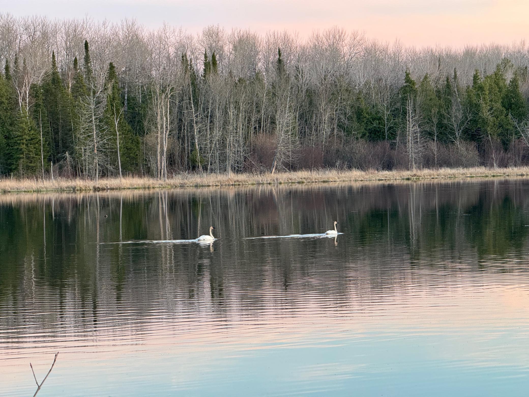 9 A Hines Road Northeast Blackduck, MN 56630 - Photo 8 of 9