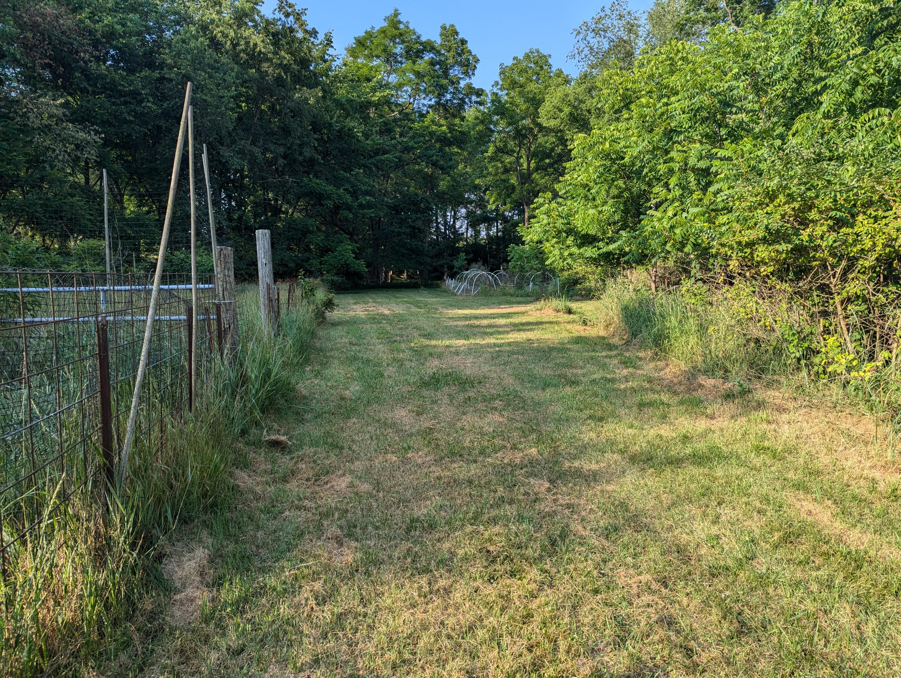 8740 Colgin Road Howard, OH 43028 - Photo 19 of 63 19