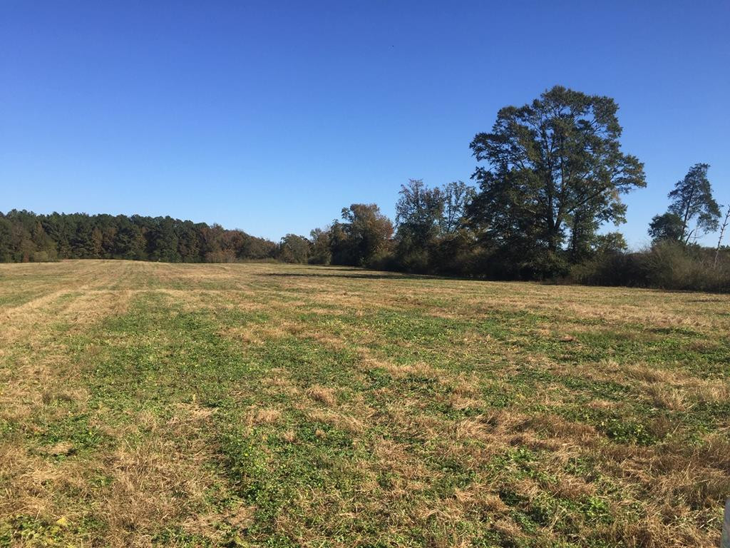 1111 Wesson Game Lane Wesson, MS 39191 - Photo 1 of 9 Main View