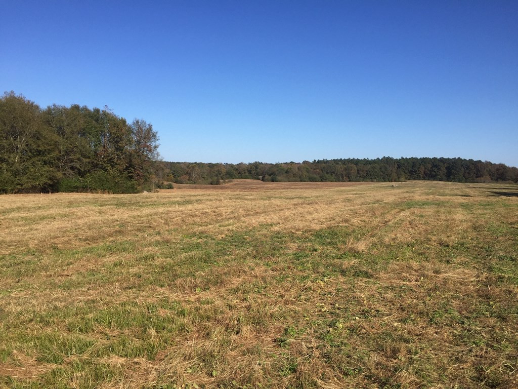 1111 Wesson Game Lane Wesson, MS 39191 - Photo 2 of 9 Photo 2