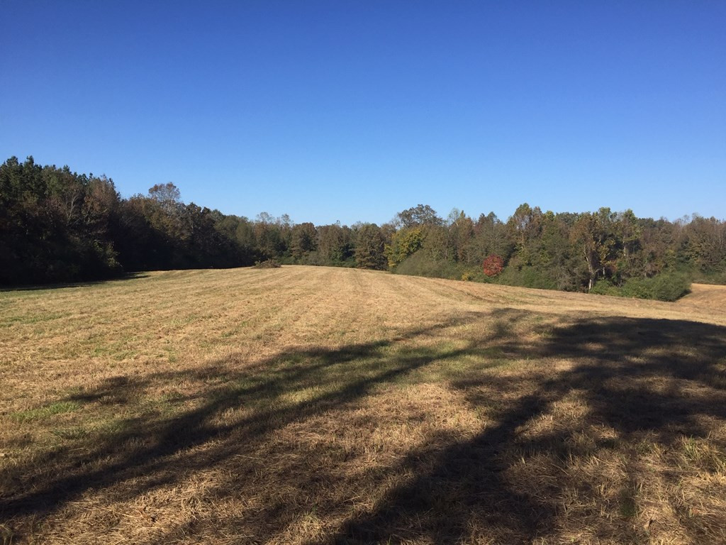 1111 Wesson Game Lane Wesson, MS 39191 - Photo 3 of 9 Photo 3
