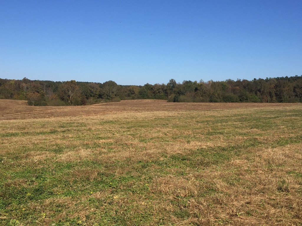 1111 Wesson Game Lane Wesson, MS 39191 - Photo 4 of 9 Photo 4
