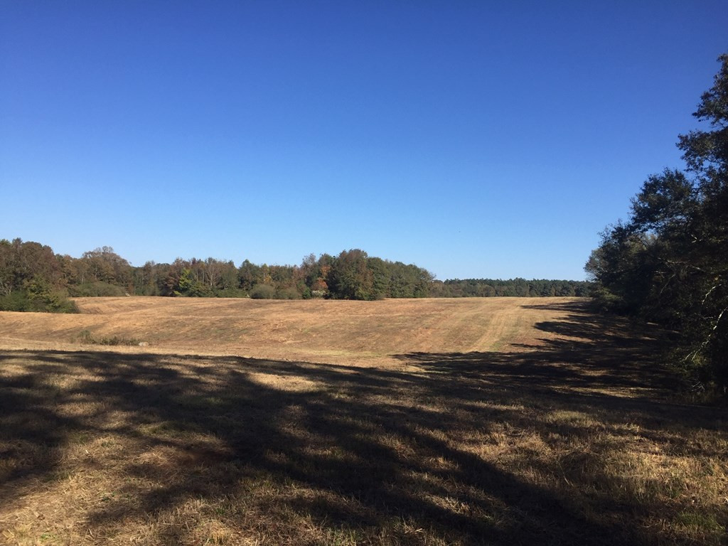 1111 Wesson Game Lane Wesson, MS 39191 - Photo 5 of 9 Photo 5