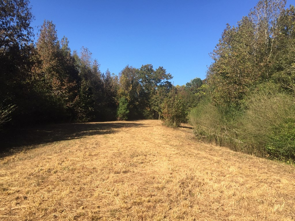 1111 Wesson Game Lane Wesson, MS 39191 - Photo 7 of 9 Photo 7