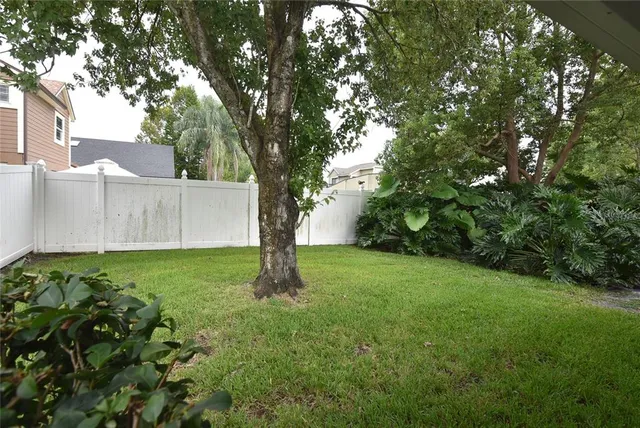 a view of a yard with a tree