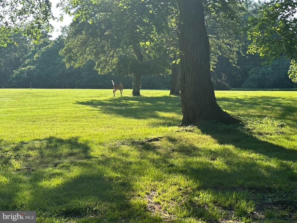 1430 Washington Place Chesterbrook, PA 19087 - Photo 41 of 44 a swimming pool with an outdoor seating and yard
