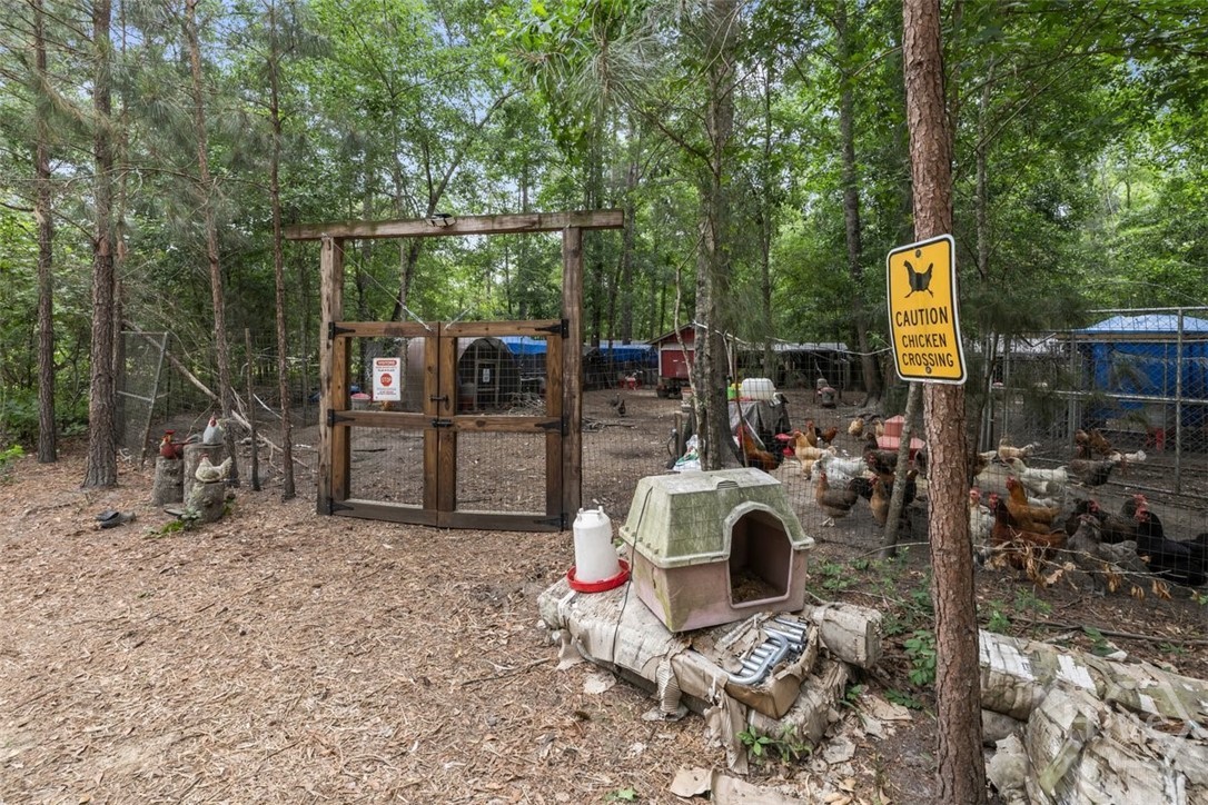 373 Chuck Ellis Road Portal, GA 30450 - Photo 35 of 67
