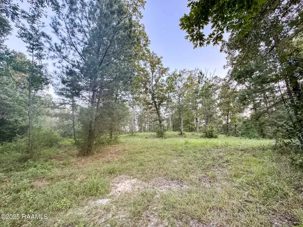 $75,000 | Tbd Saddler Road, Ville Platte, LA 70586