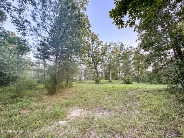$80,000 | Tbd Saddler Road, Ville Platte, LA 70586