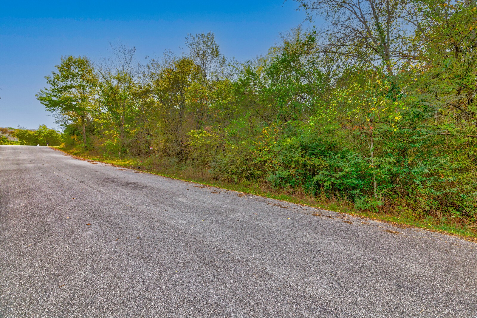97 Jones Road Lebanon, TN 37090 - Photo 4 of 16 a view of a road from a yard
