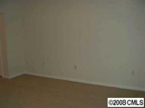445 Robin Reed Court Pineville, NC 28134 - Photo 8 of 8