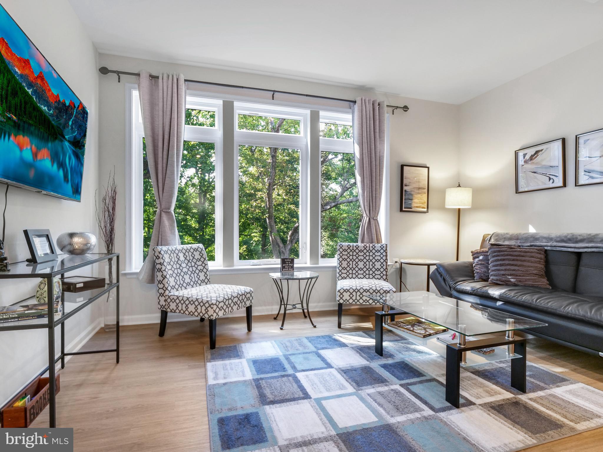 1675 Bandit Loop, Unit 308B Reston, VA 20190 - Photo 9 of 28